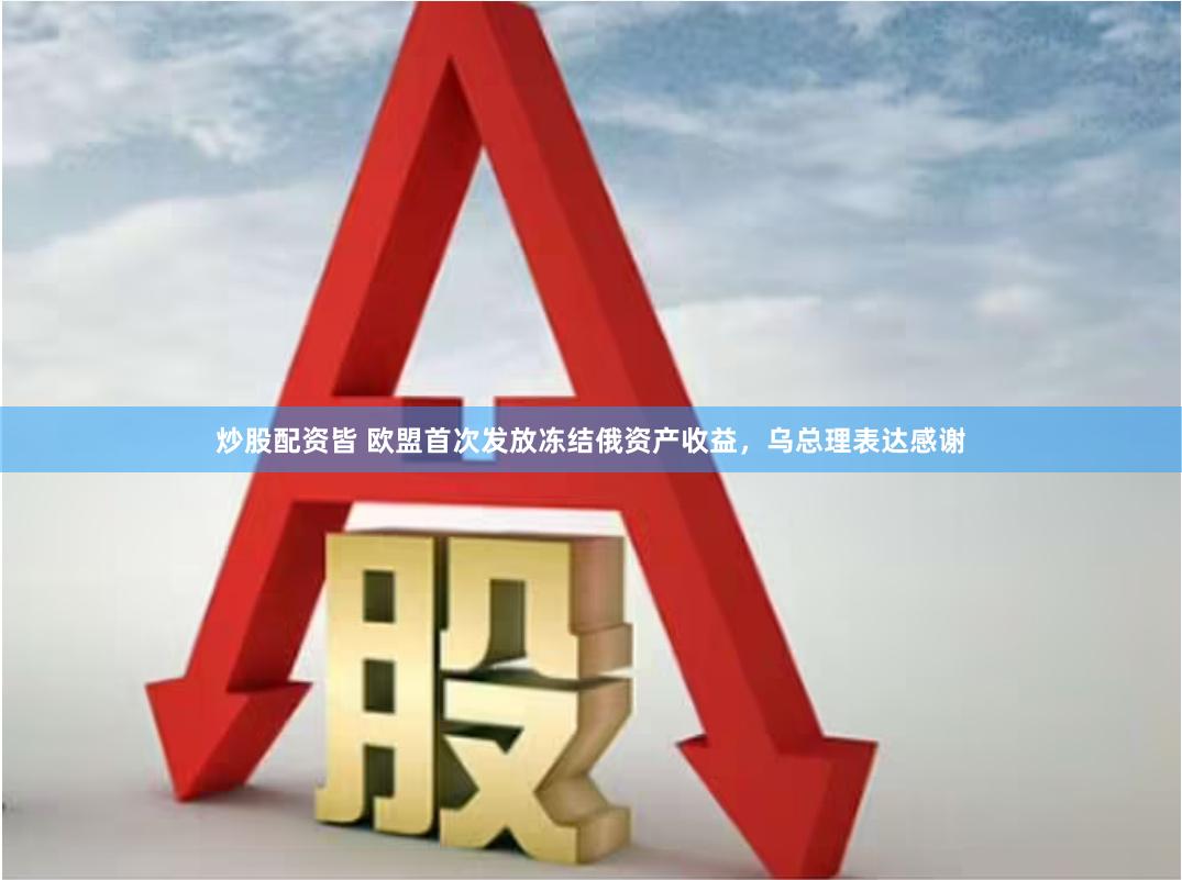 炒股配资皆 欧盟首次发放冻结俄资产收益，乌总理表达感谢