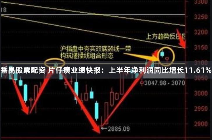 番禺股票配资 片仔癀业绩快报：上半年净利润同比增长11.61%