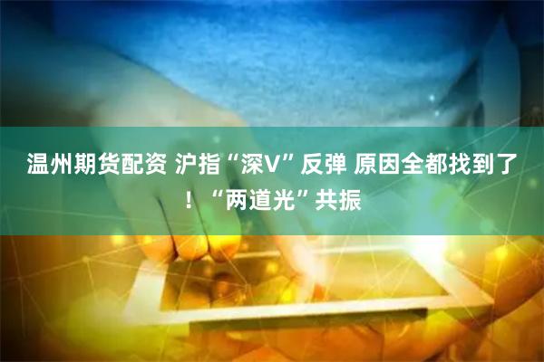 温州期货配资 沪指“深V”反弹 原因全都找到了！“两道光”共振