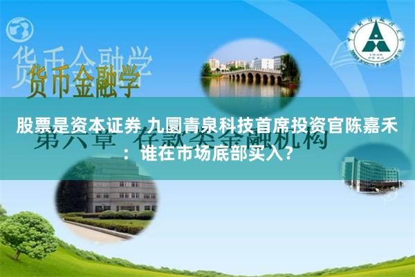 股票是资本证券 九圜青泉科技首席投资官陈嘉禾：谁在市场底部买入？